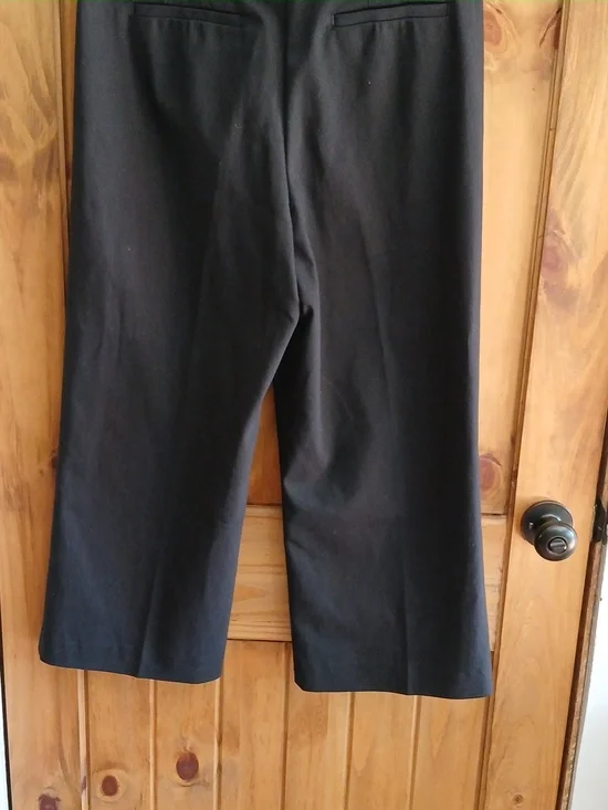 Ann Taylor Loft High Waist Button Fly Crop Pants - 10 - Picture 4 of 8